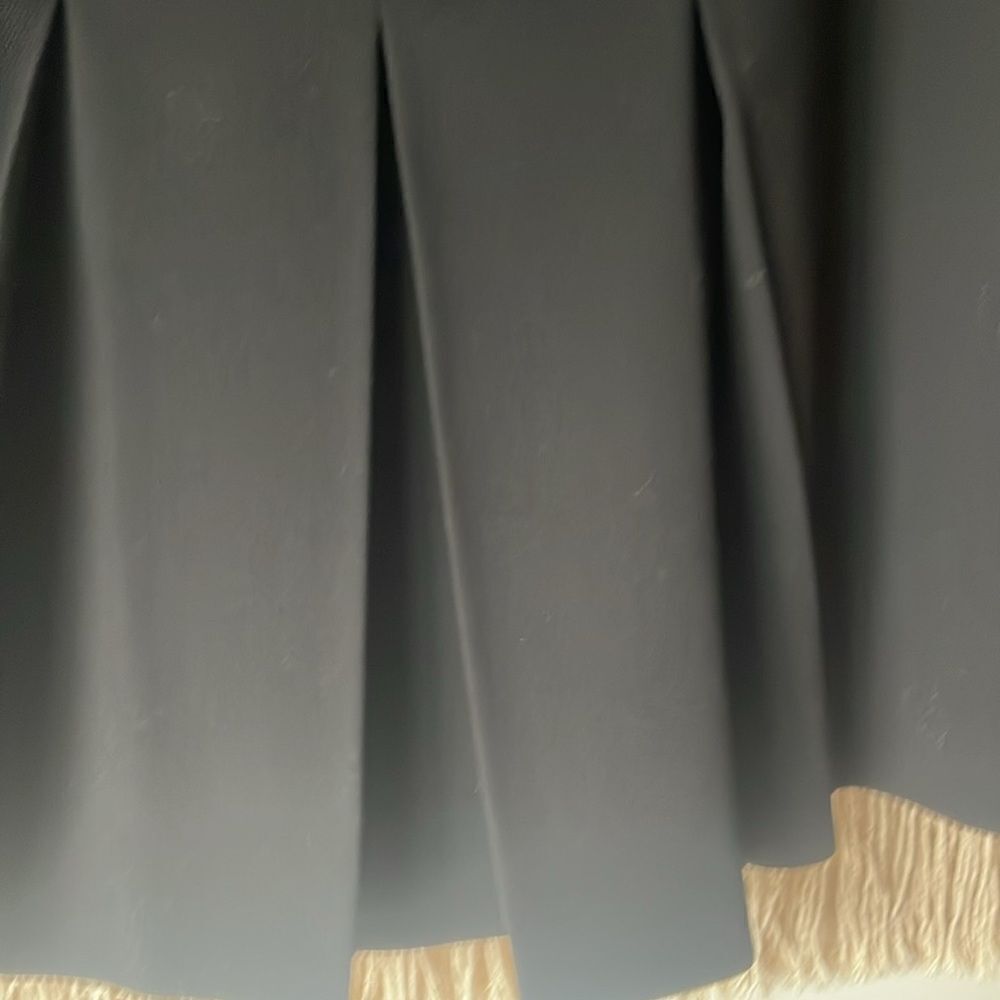Beautiful Celine black skirt from France.  Gorgeous details in back with pleats. - Picture 4 of 7